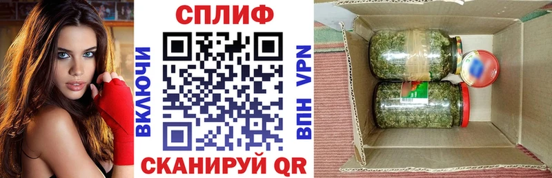 где купить наркотик  Александровск  Бошки Шишки марихуана 