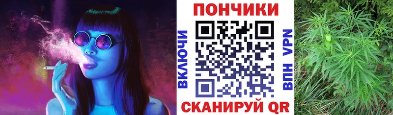 Бошки марихуана SATIVA & INDICA Александровск